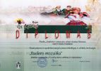 diplomas_Gitana1~0.jpg