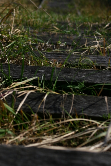 Greta Čepulytė
2011
