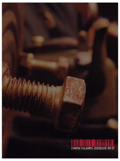 Marija Ambrasaitė
2009
