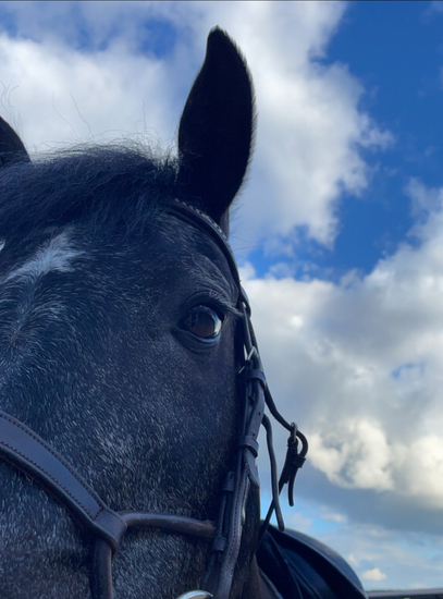 Aušrinė_Saulė_Petraitytė_Draugas
