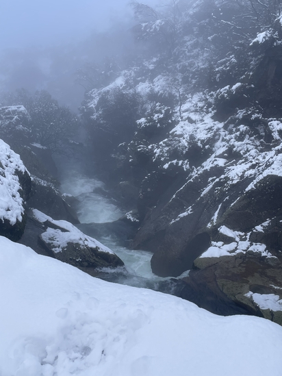 Austėja _Vaišnytė_Kalnuose
