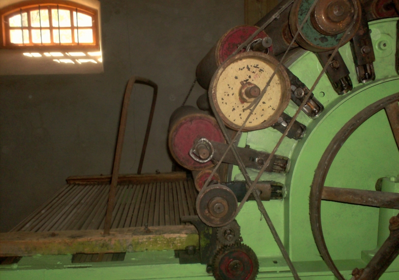 Viktorija Čikotaitė
2009 
