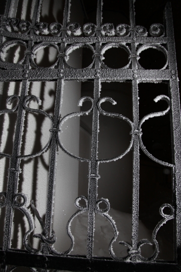 Aurelijus Zazevičius
2011
