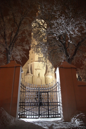 Aurelijus Zazevičius
2011
