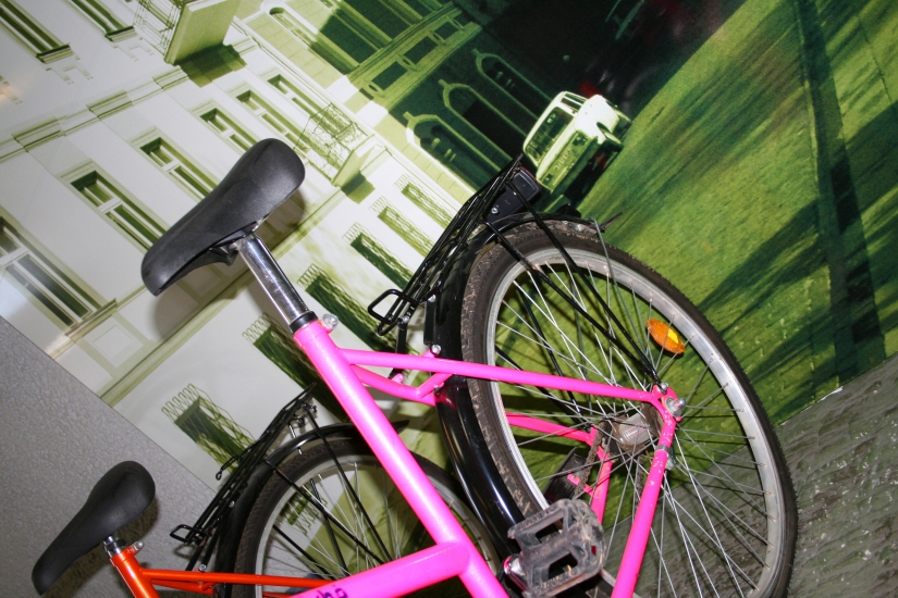 Toma Veikalaitė 
"Rožinis ir išdidus"  2008
