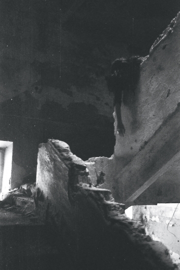 Polina Rumbeštaitė
2011
