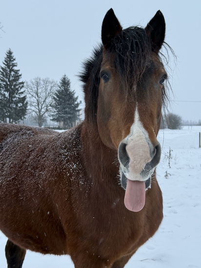 Urtė_Gružauskaitė_Šypsena
