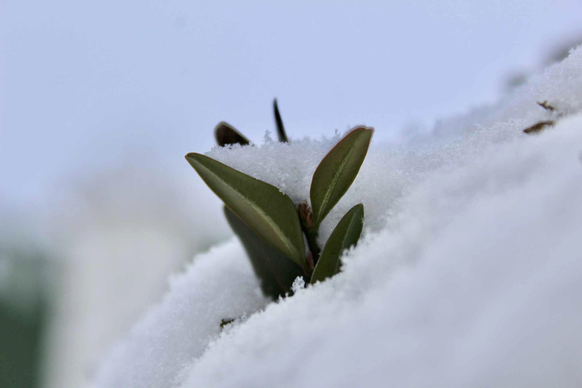 Viltė Varneckaitė_Stiprybė
