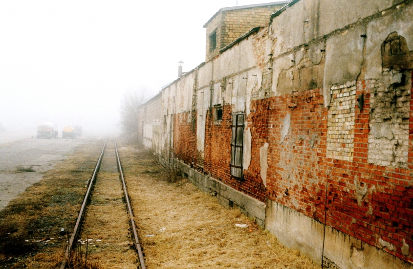 Džiugas Sabakonis
2012
