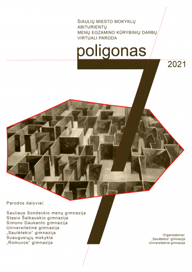 poligonas_7.jpg