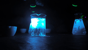 20251015_170645.JPG