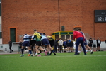 DSC09567.JPG