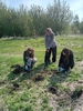 dirvozemio_mikrobiomas_2810029.jpg