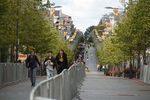 DSC06366.JPG
